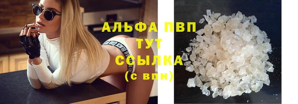 ПСИЛОЦИБИНОВЫЕ ГРИБЫ Магас
