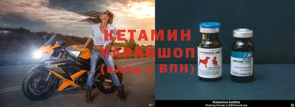 ПСИЛОЦИБИНОВЫЕ ГРИБЫ Магас