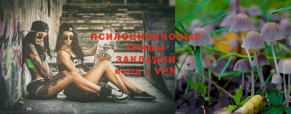 ПСИЛОЦИБИНОВЫЕ ГРИБЫ Магас