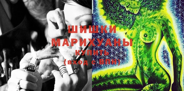 ПСИЛОЦИБИНОВЫЕ ГРИБЫ Магас