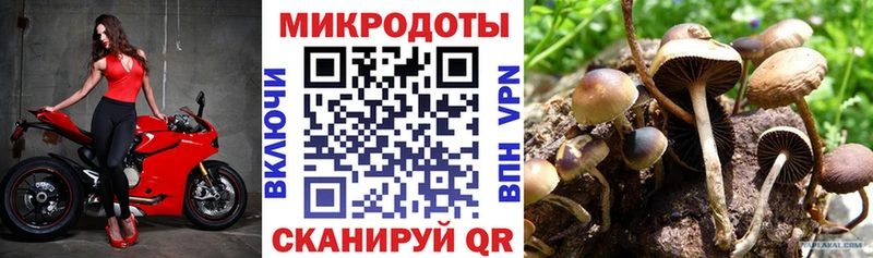 купить наркотики цена  Малоархангельск  Галлюциногенные грибы MAGIC MUSHROOMS 